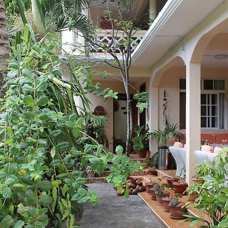 Villa Le Chapo ポート・マチュリン エクステリア 写真